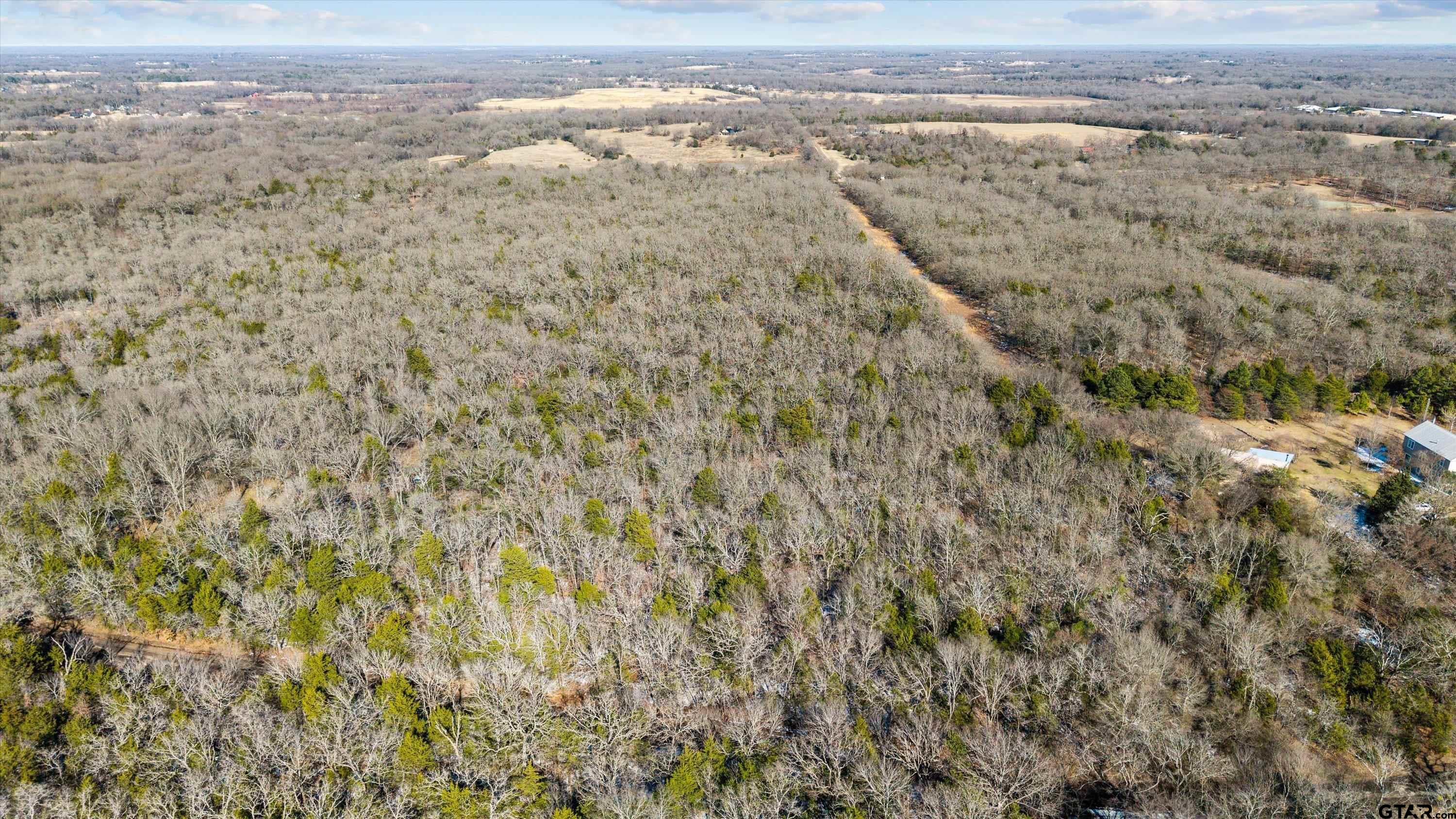 TBD County Road 3105 - 5 Acres