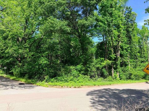 1023 S Peach Ave Tyler TX 75701