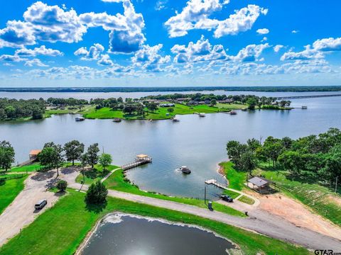 154 Wapiti Quitman TX 75783