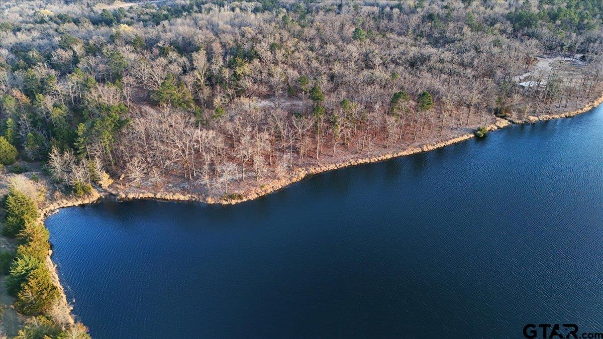 0000 Holiday Pine Drive