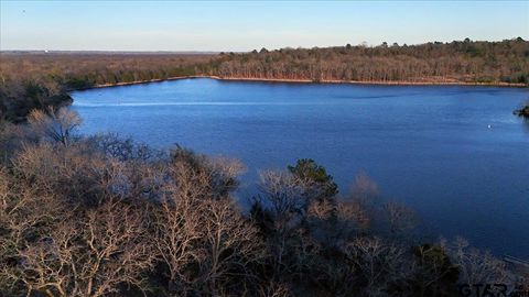 0000 Holiday Pine Drive Mineola TX 75773