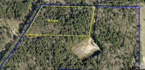 20447 CR 2160 Troup TX 75789