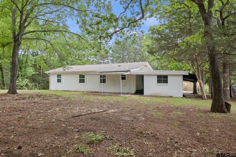 A home in Mt Pleasant