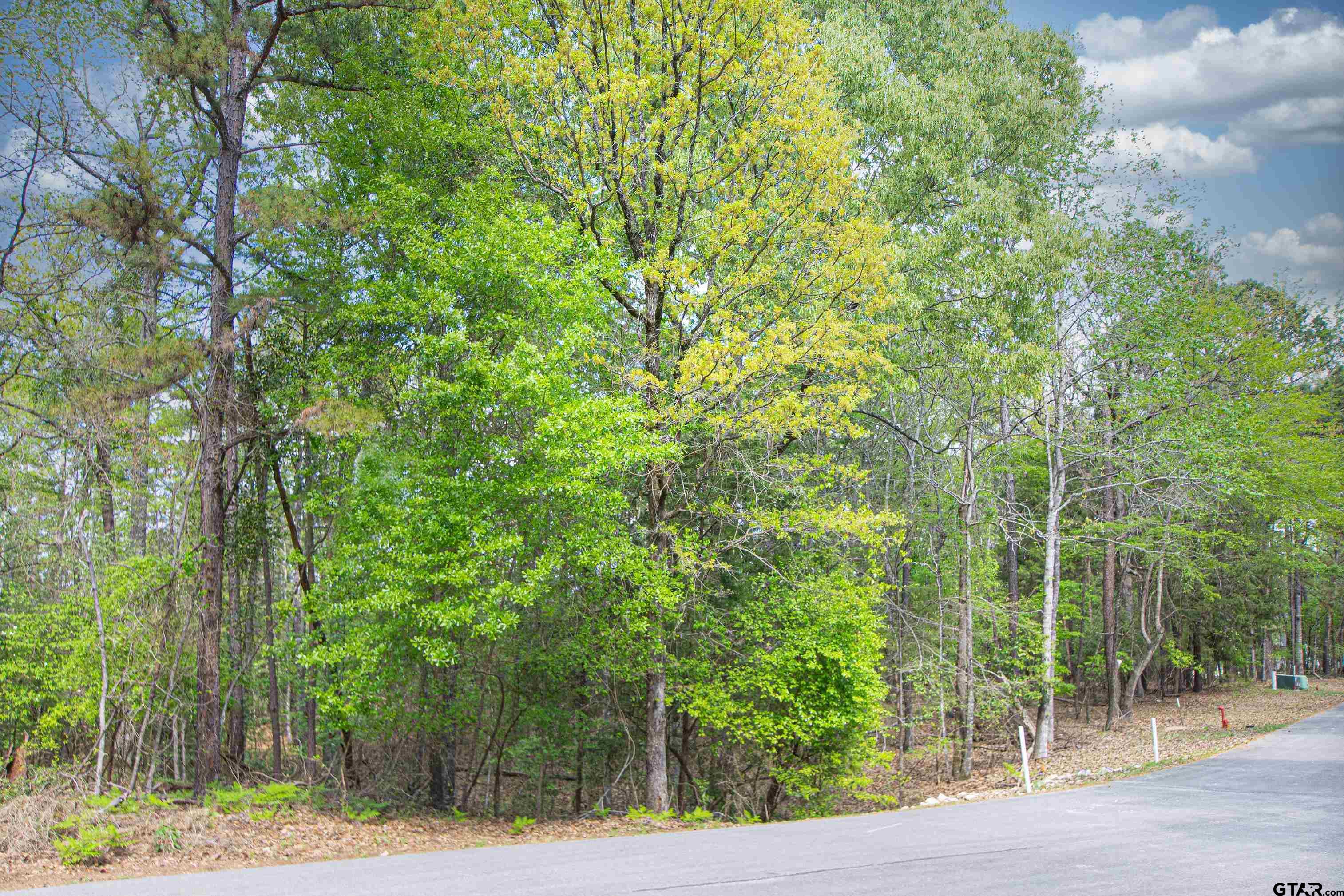 14867 Lake Meadow Ct