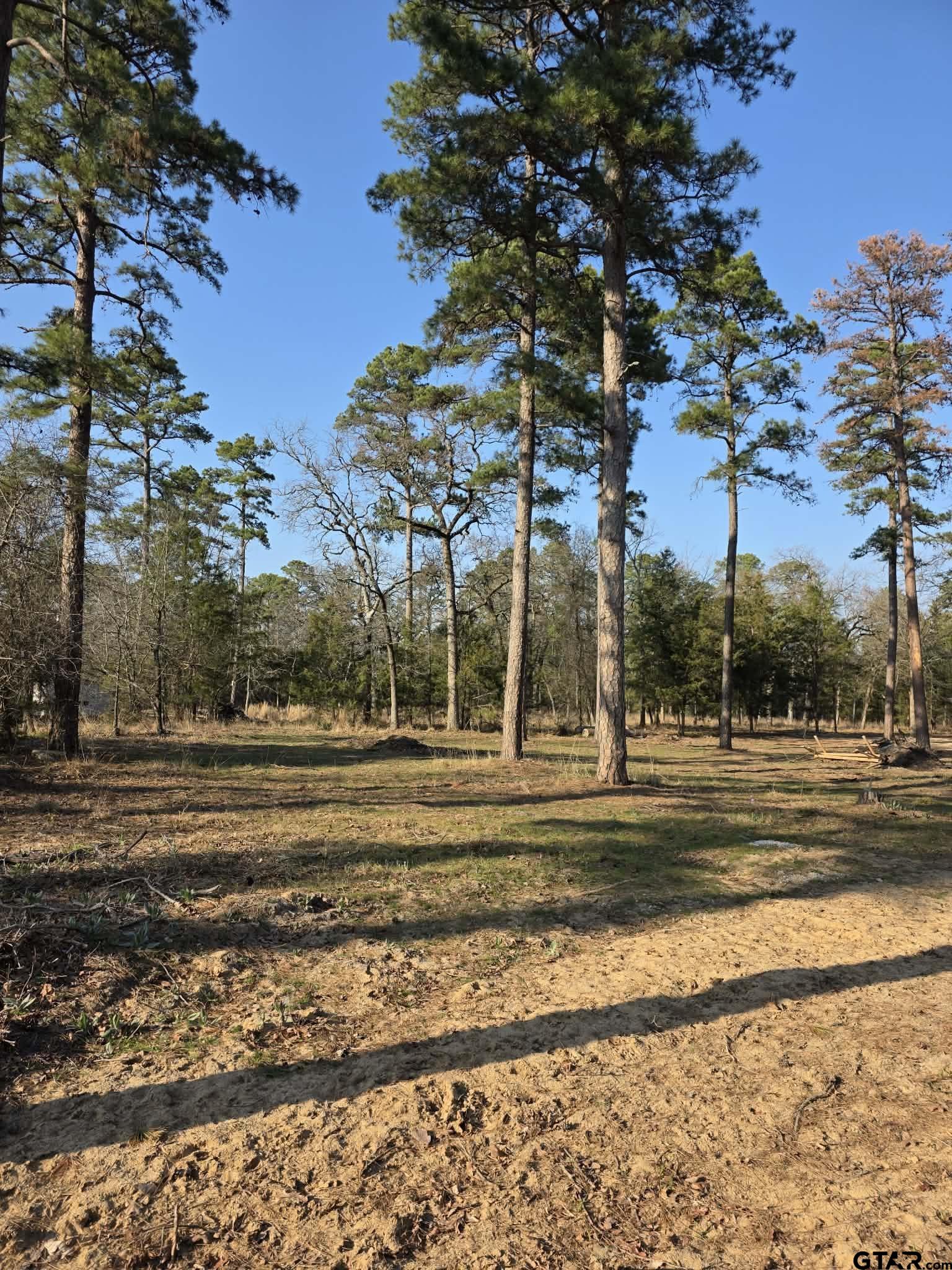 TBD King Charles Road