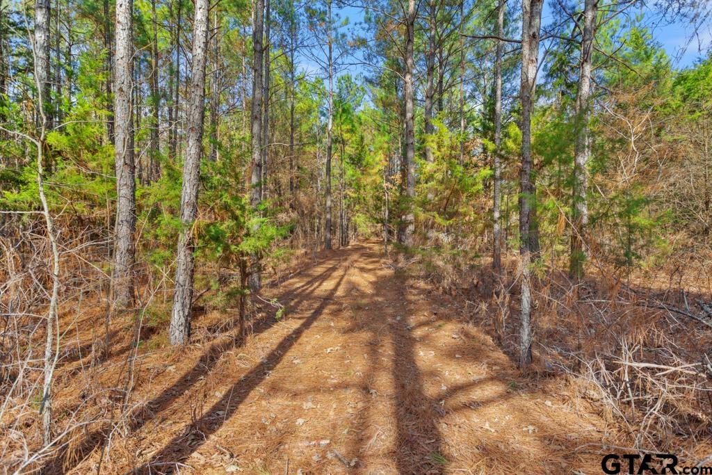 TBD FM 1995 (LINDALE ISD)