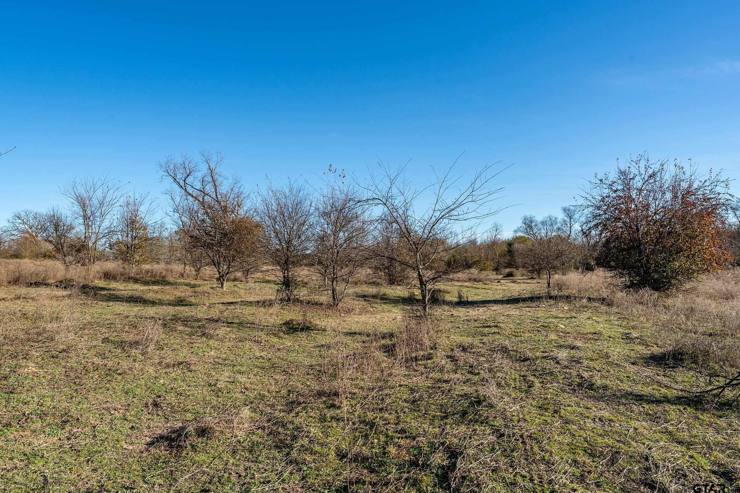 14461 County Road 46 (Lot 2)