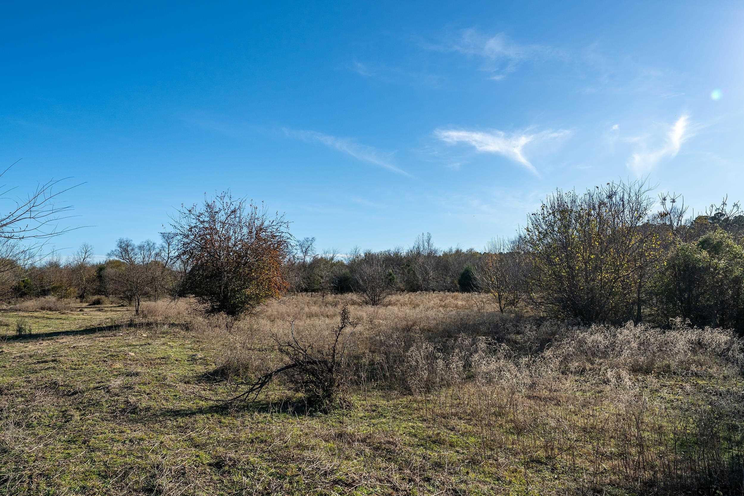 14461 County Road 46 (Lot 2)