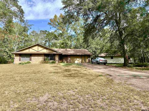 23317 Elbow Creek Drive Gladewater TX 75647