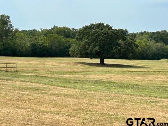 175 Acres County Road 1148