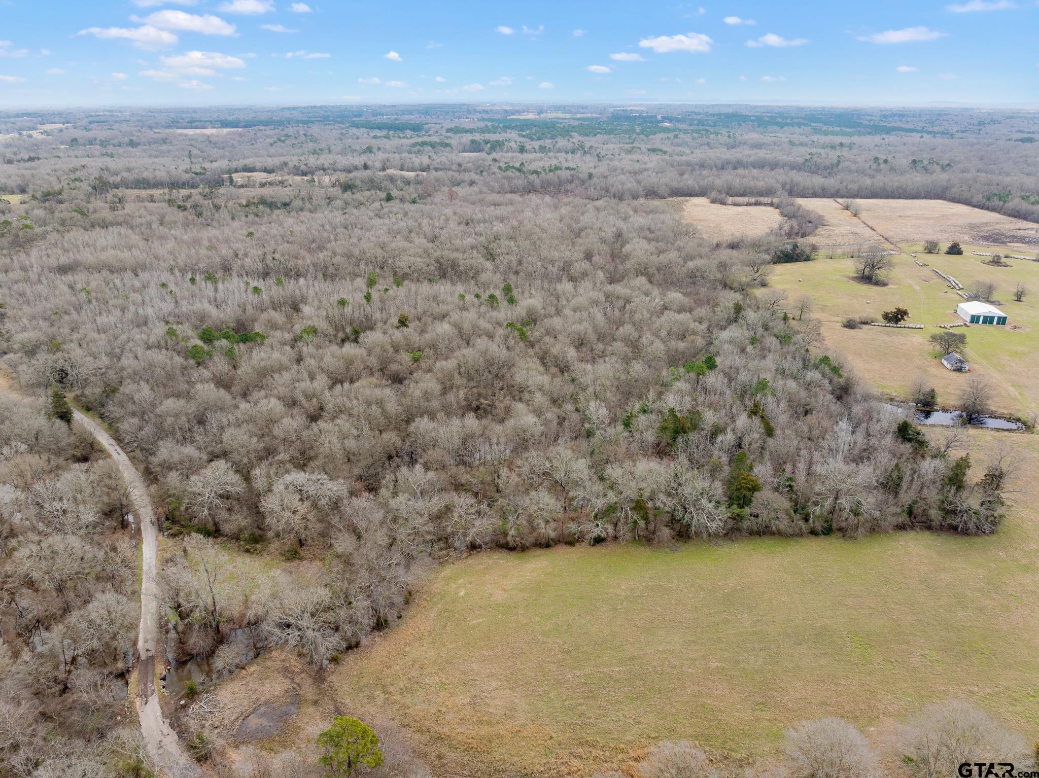 Pittsburg, Texas 75686, United States, ,Land,Active,85235