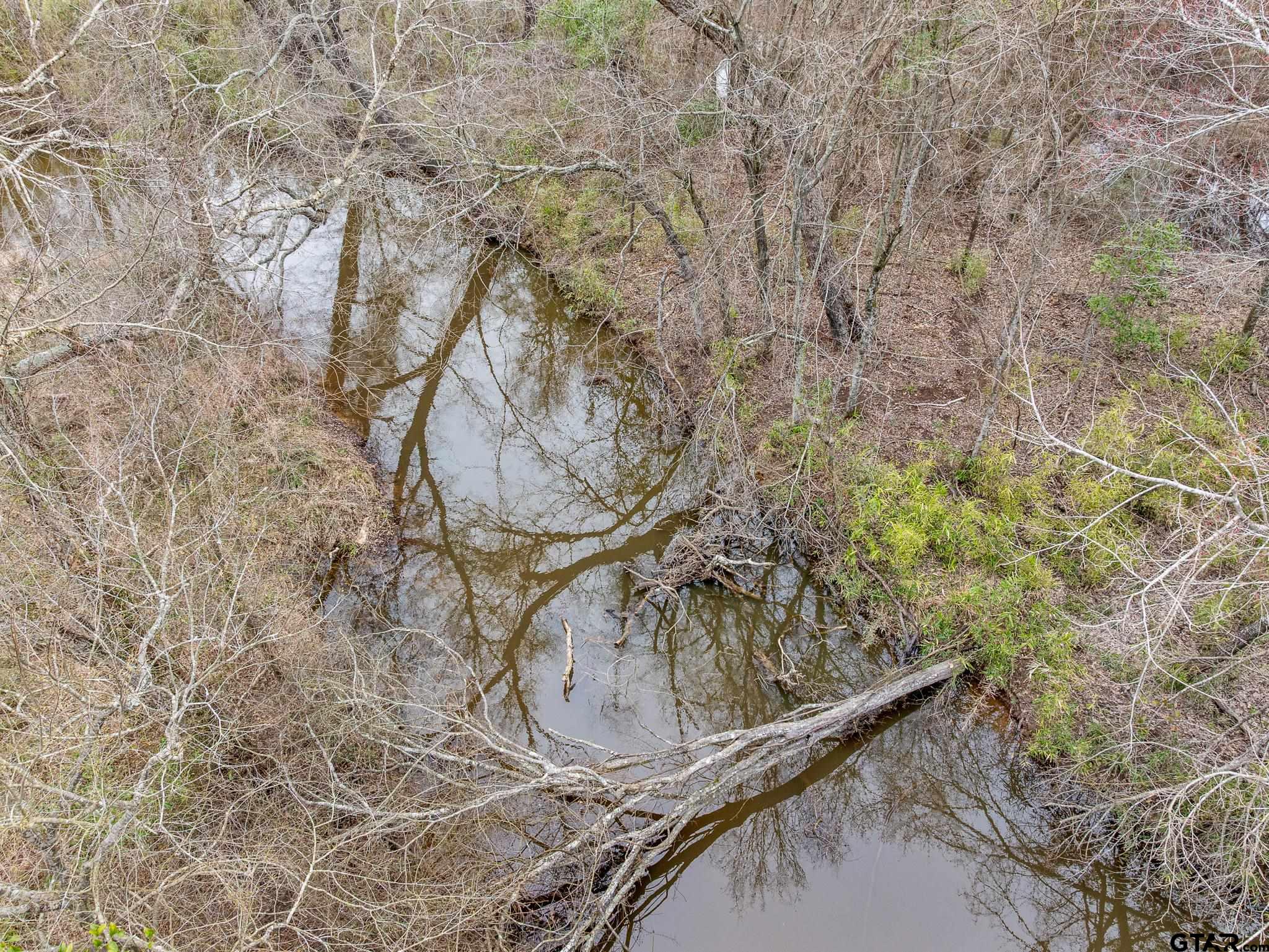 Pittsburg, Texas 75686, United States, ,Land,Active,85235