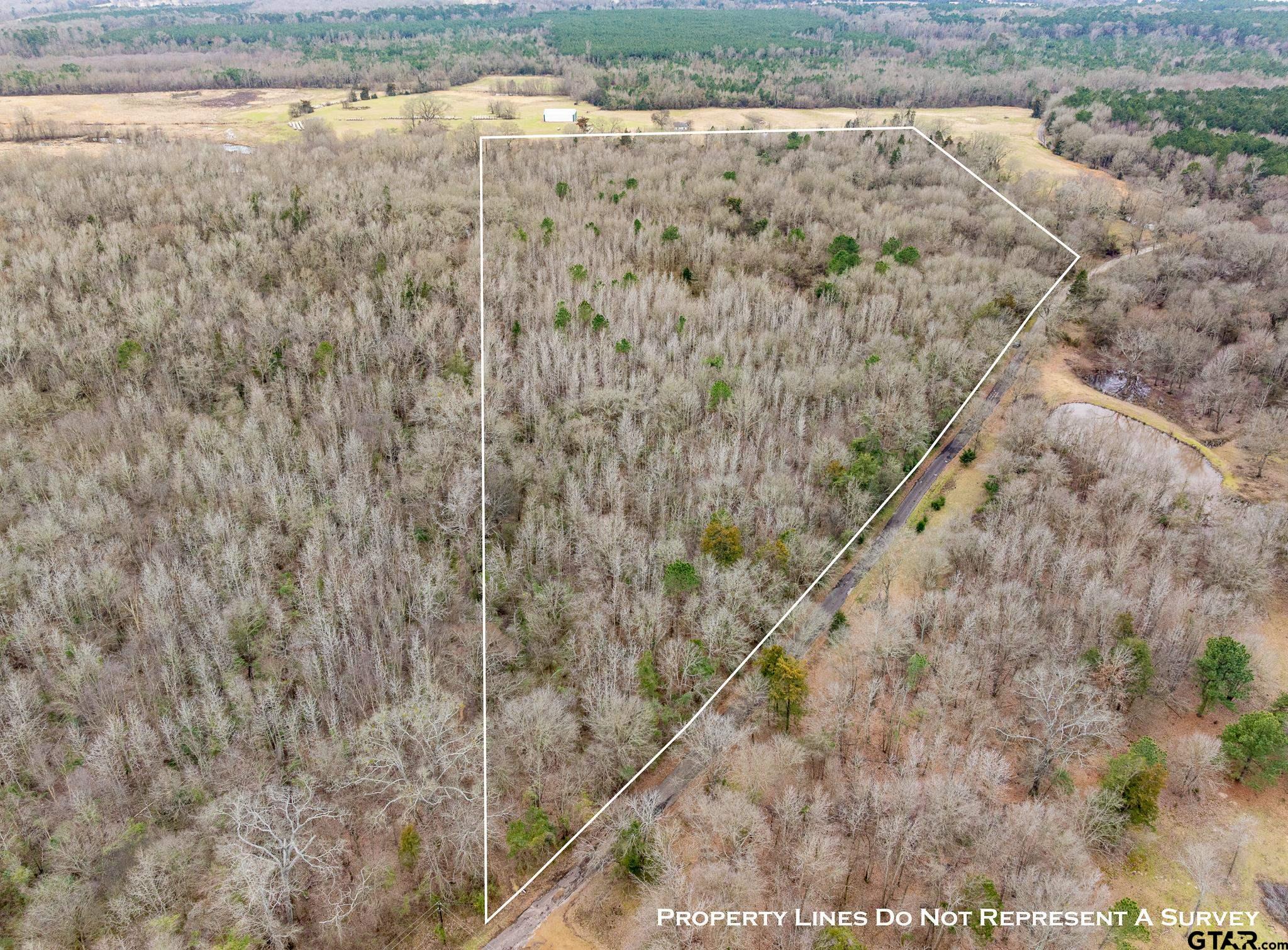 Pittsburg, Texas 75686, United States, ,Land,Active,85235