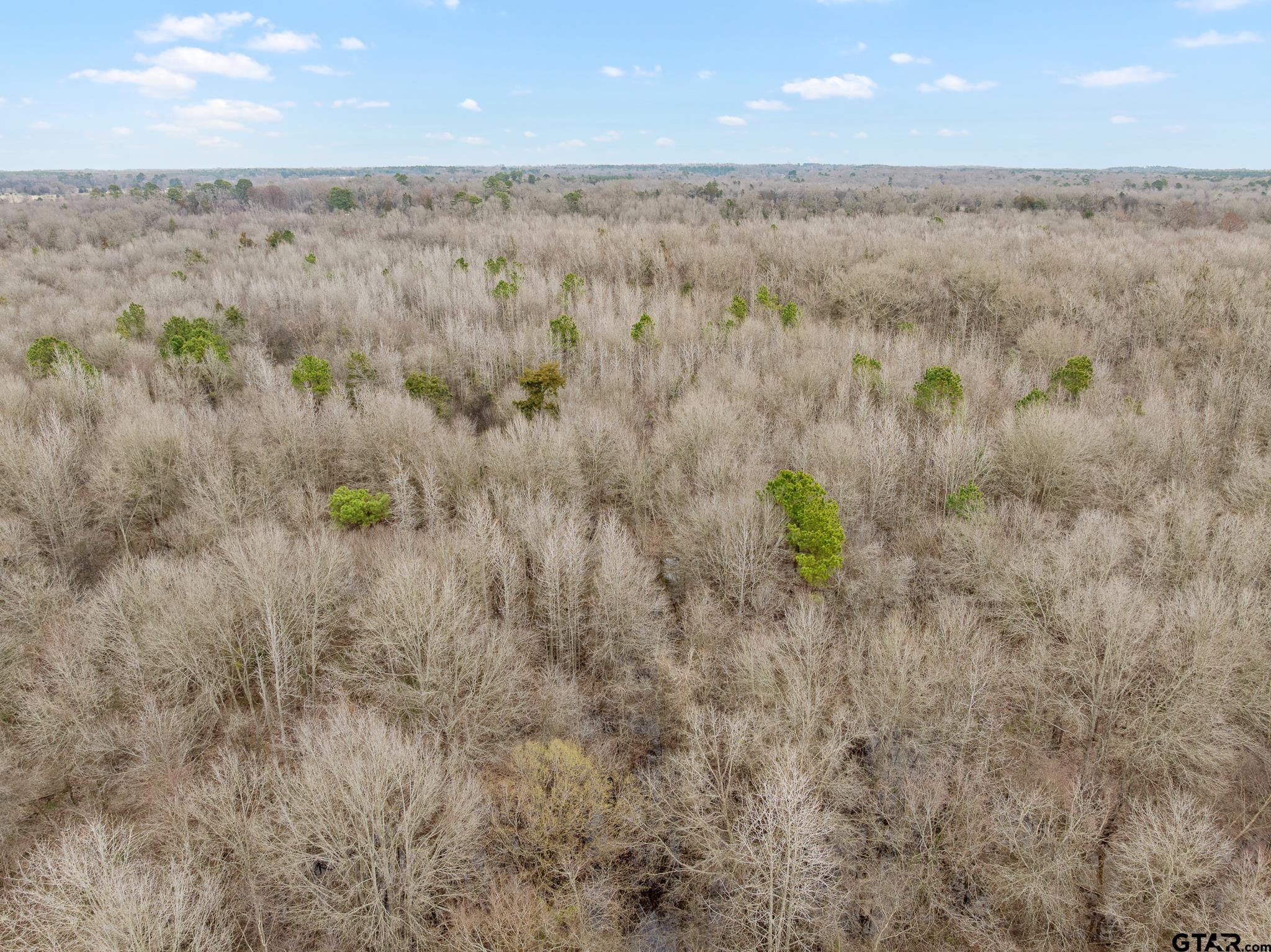 Pittsburg, Texas 75686, United States, ,Land,Active,85235