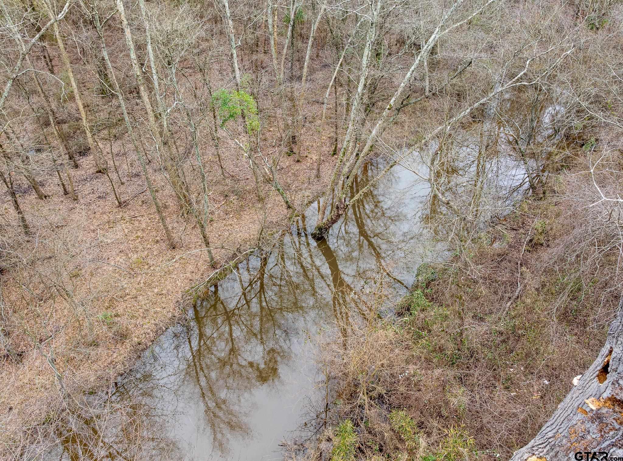 Pittsburg, Texas 75686, United States, ,Land,Active,85235