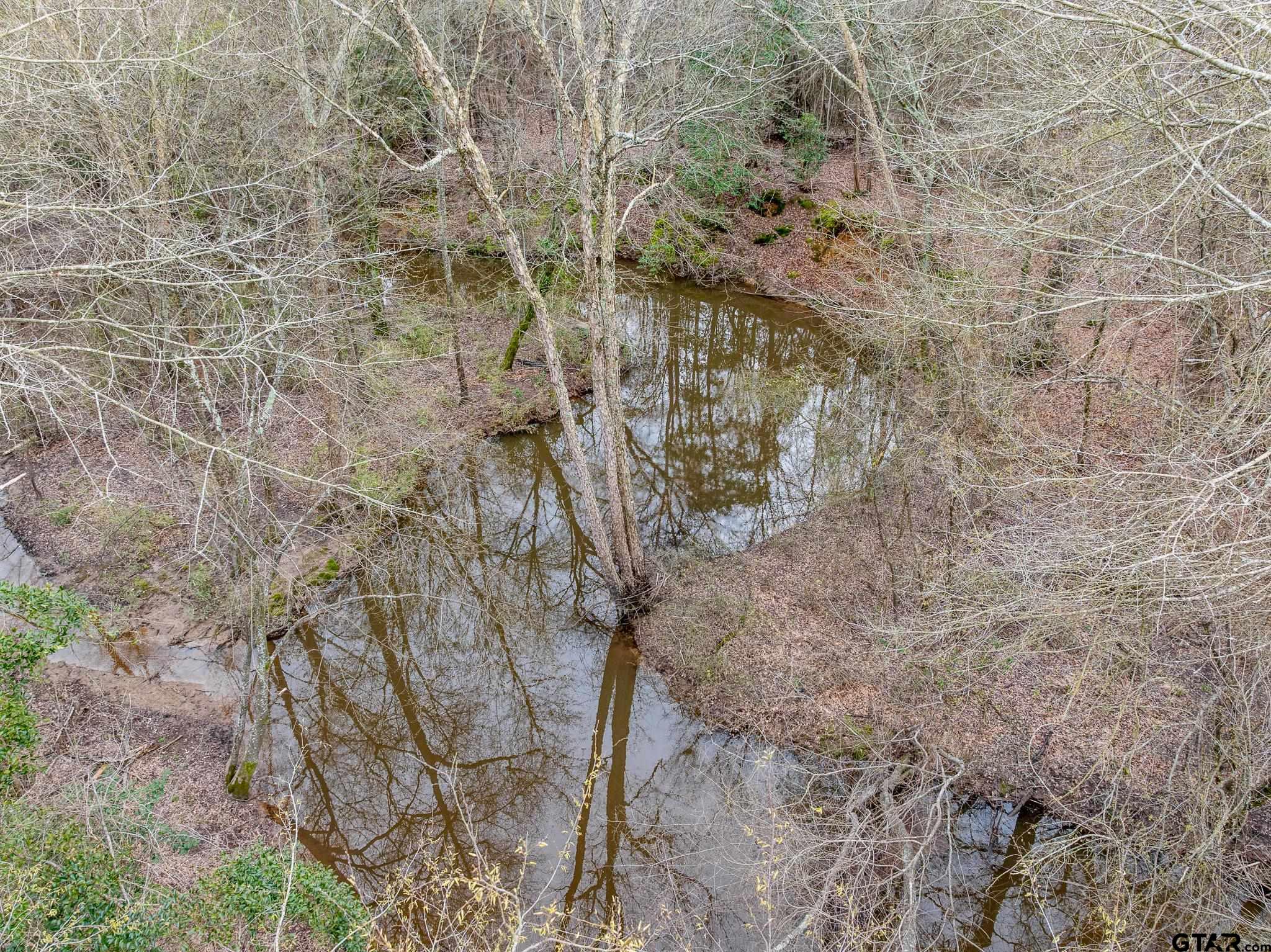 Pittsburg, Texas 75686, United States, ,Land,Active,85235