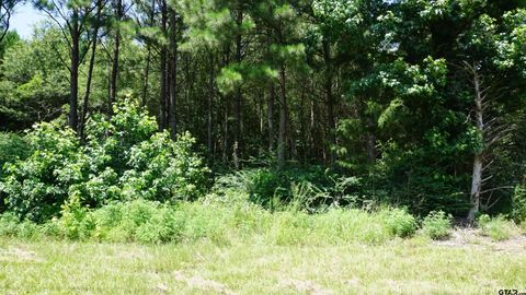 TBD Hwy 80 Hawkins TX 75765