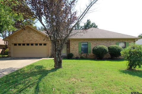 607 Mustang Dr Mt Vernon TX 75457