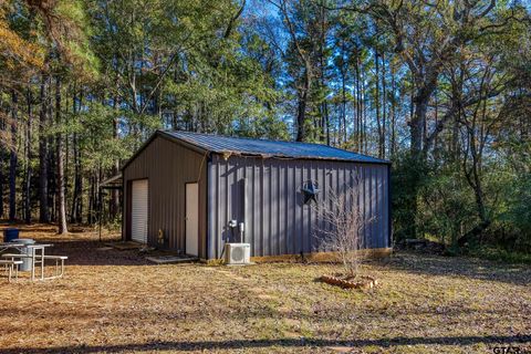 595 An County Road 1773 Grapeland TX 75844