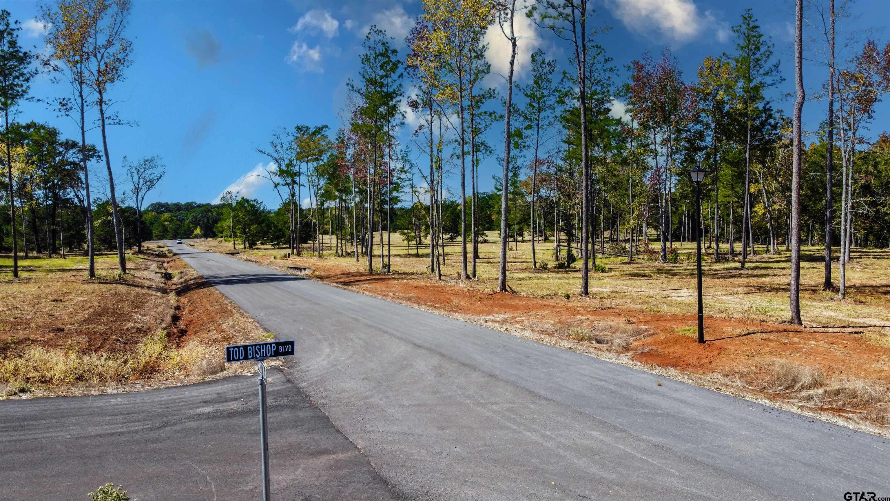 15756 Aniston Ln - (LOT 23)