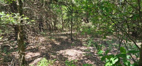 Rs County Road 1450 Point TX 75472