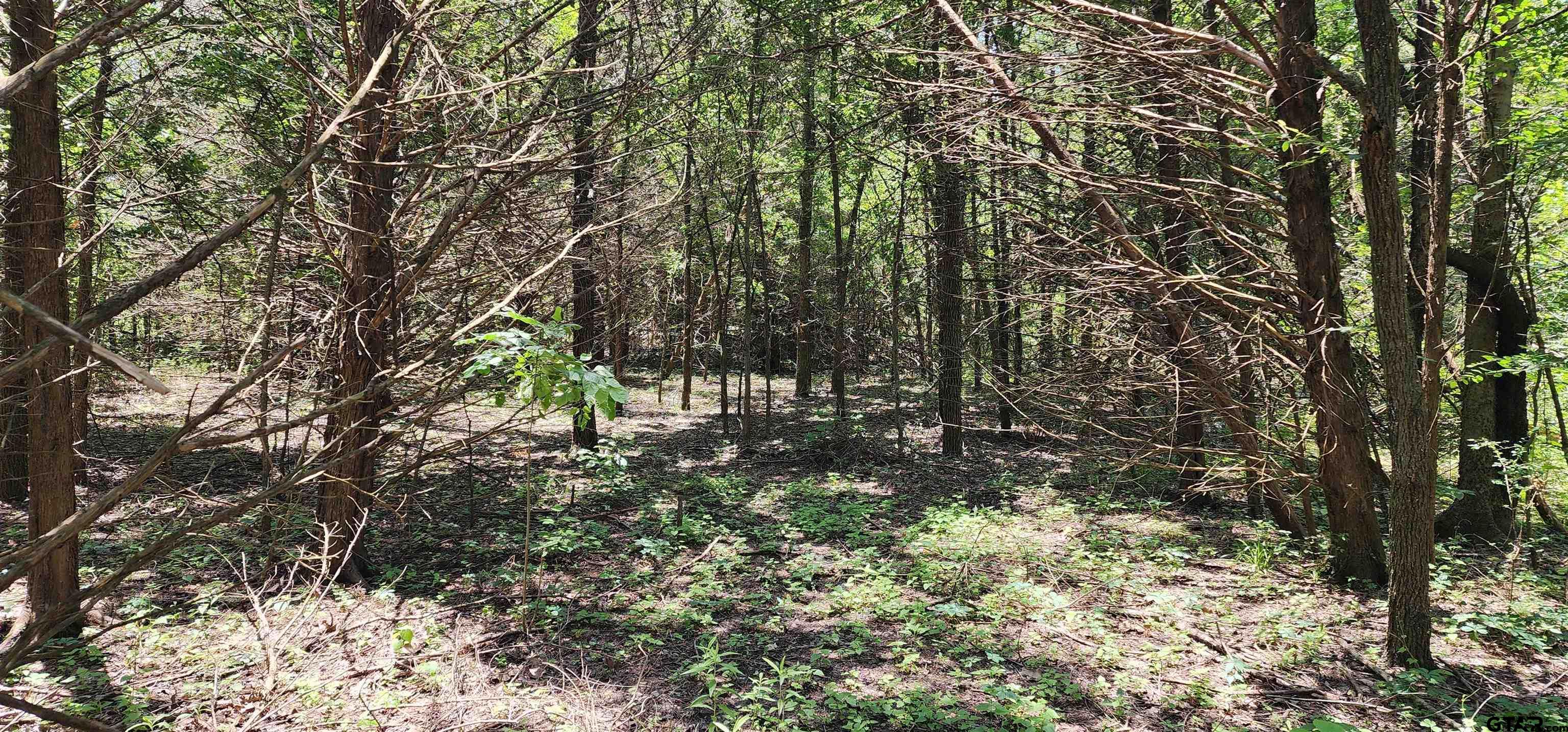Rs County Road 1450