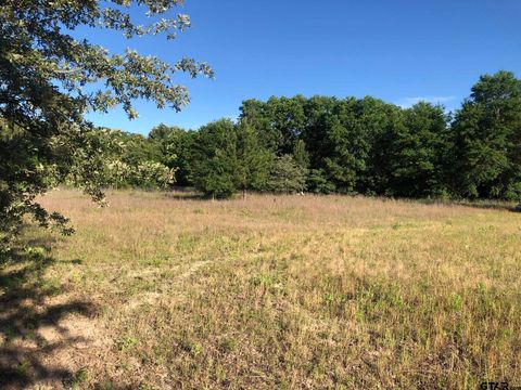Lot 9J County Road 448 Lindale TX 75771