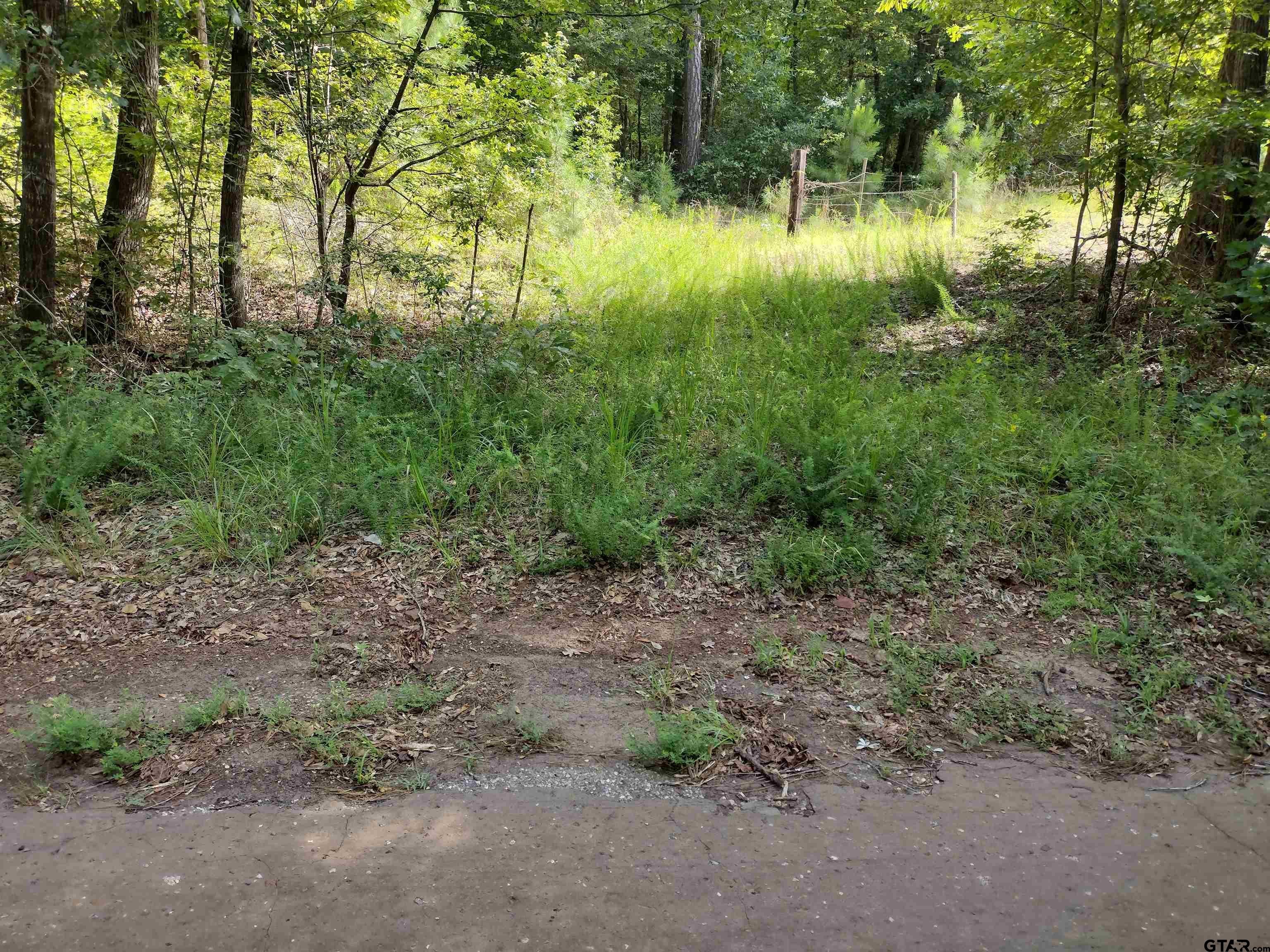Photo 1 of 7 — TBD Willow Point Marina Rd, Lone Star, TX 75668