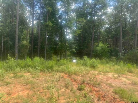 Lot 13 PR 7949 Hawkins TX 75765