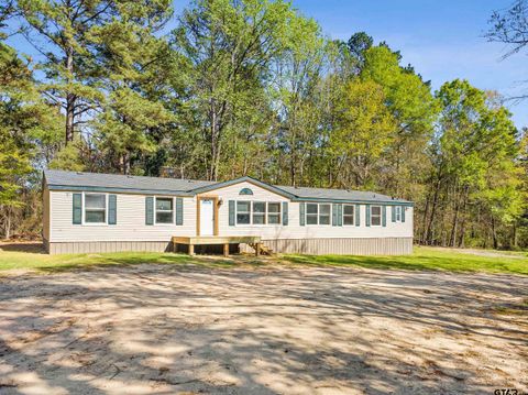 180 SE County Road Se 4275 Mt Vernon TX 75457