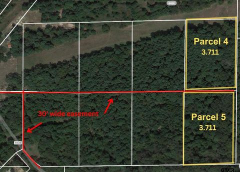 TBD CR 4609 (Parcel 4 & 5) Troup TX 75789