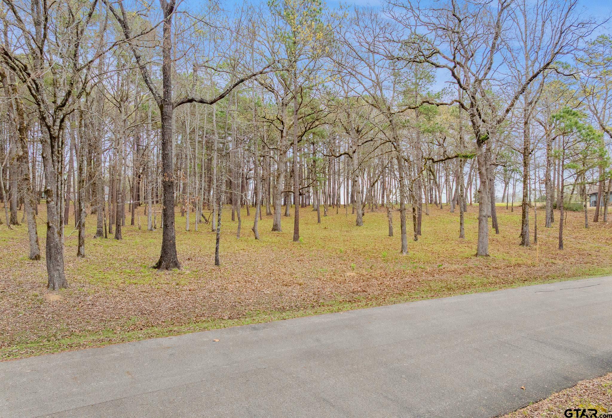 15407 Sunrise Lake Crt