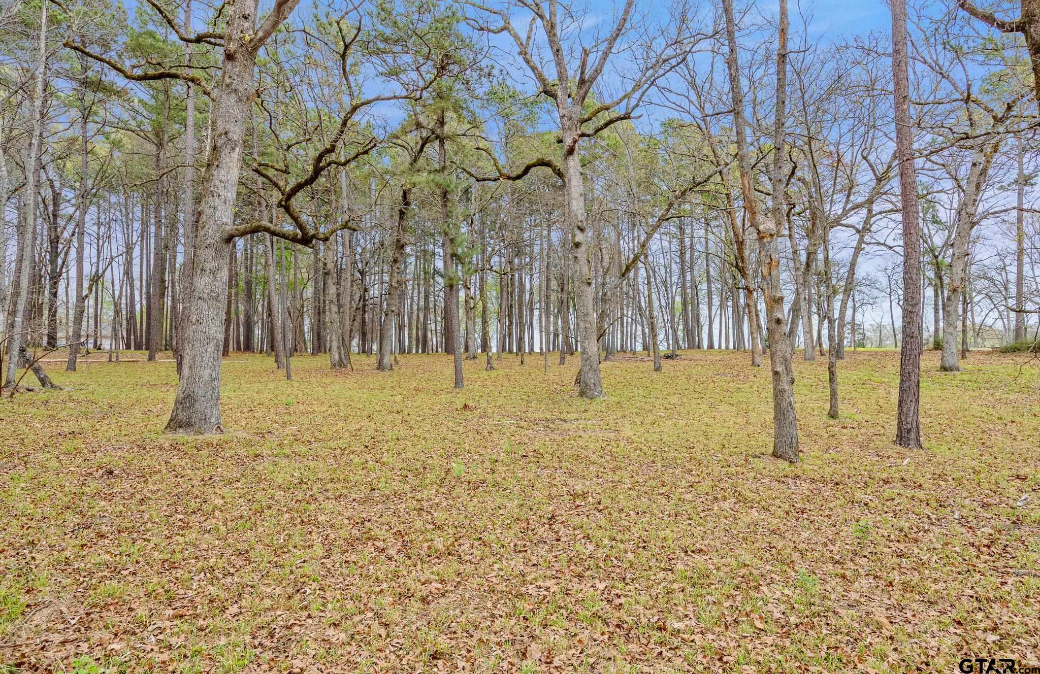 15407 Sunrise Lake Crt