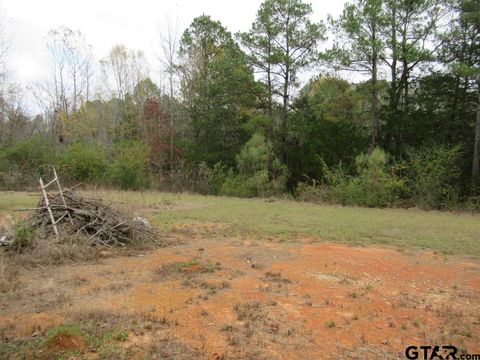 7079 241 S Alto TX 75925