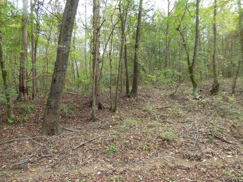 9371 County Road 3416 Leesburg TX 75451