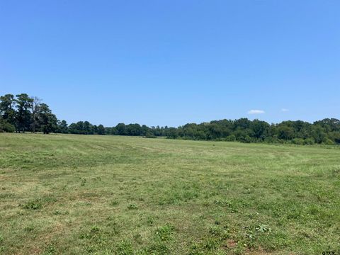 22173 HWY 135 Troup TX 75789