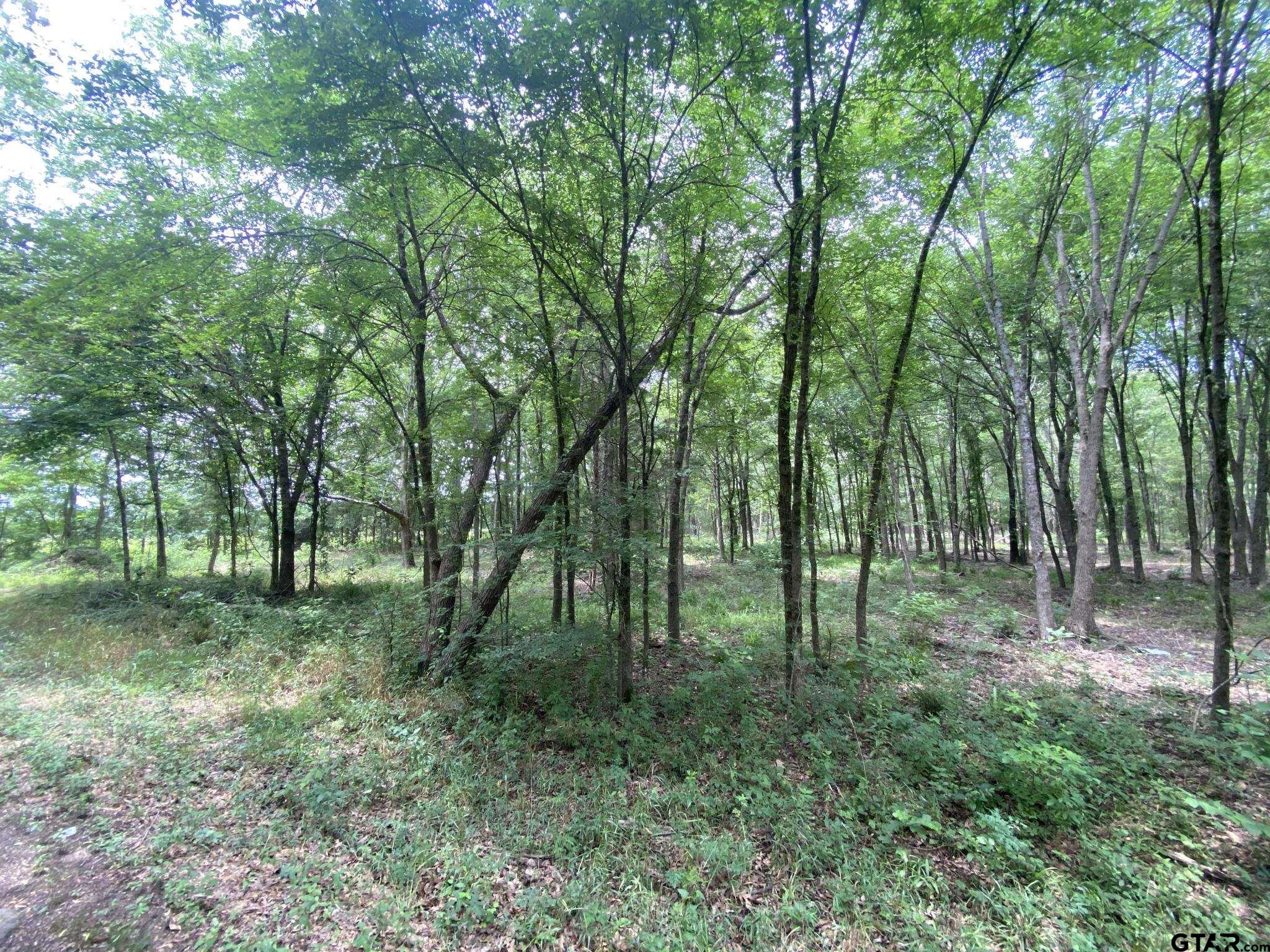 Lot 10 & 11 CR 3920