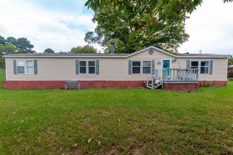 121 Allen St Arp TX 75750