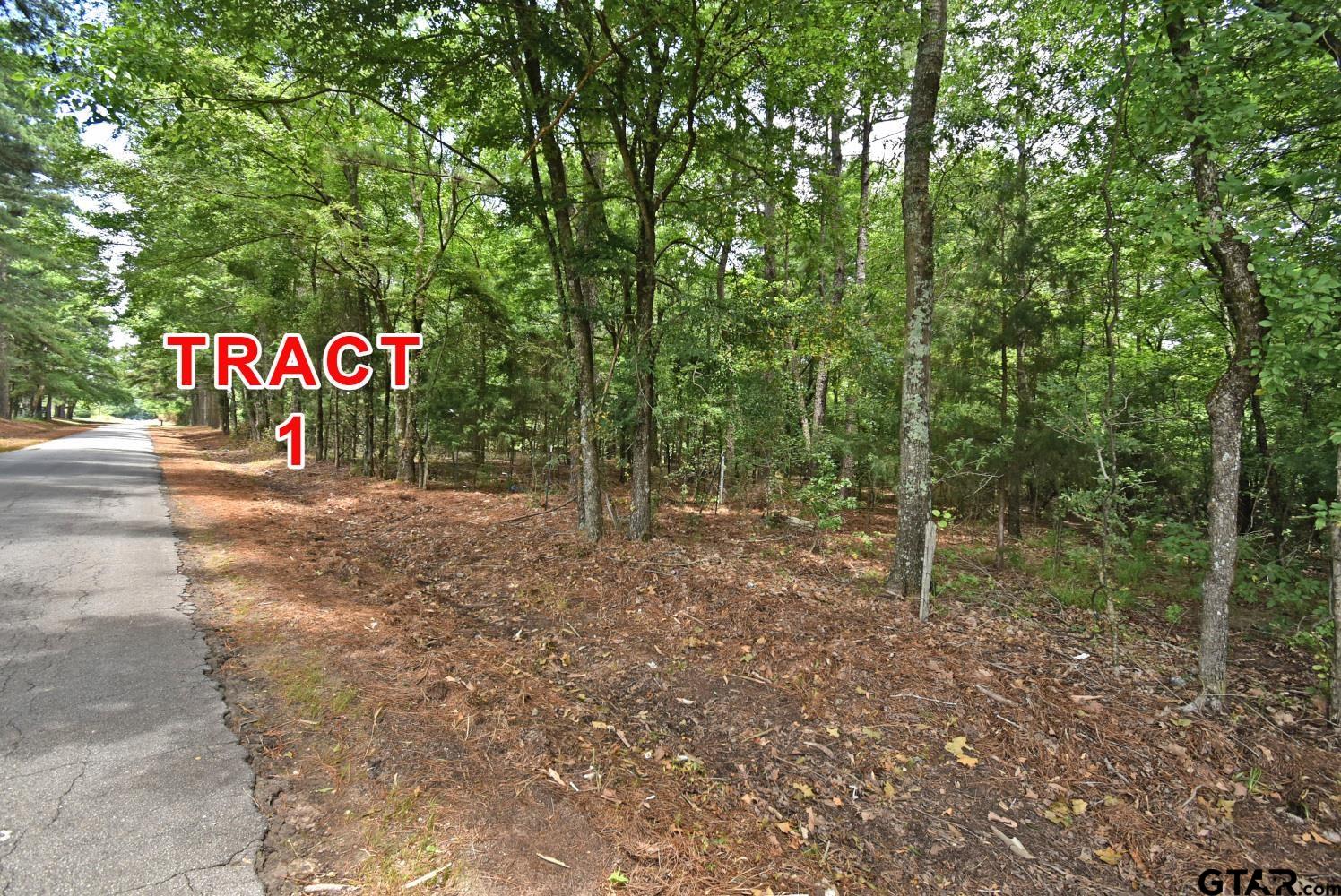 Tract 1 County Road 3117