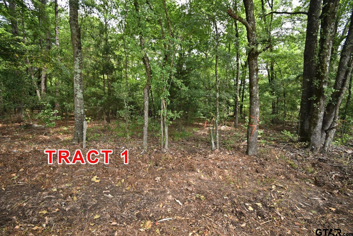 Tract 1 County Road 3117