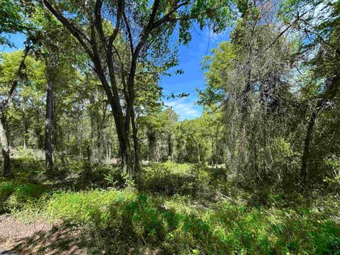 13808 County Road 1250 Tyler TX 75709