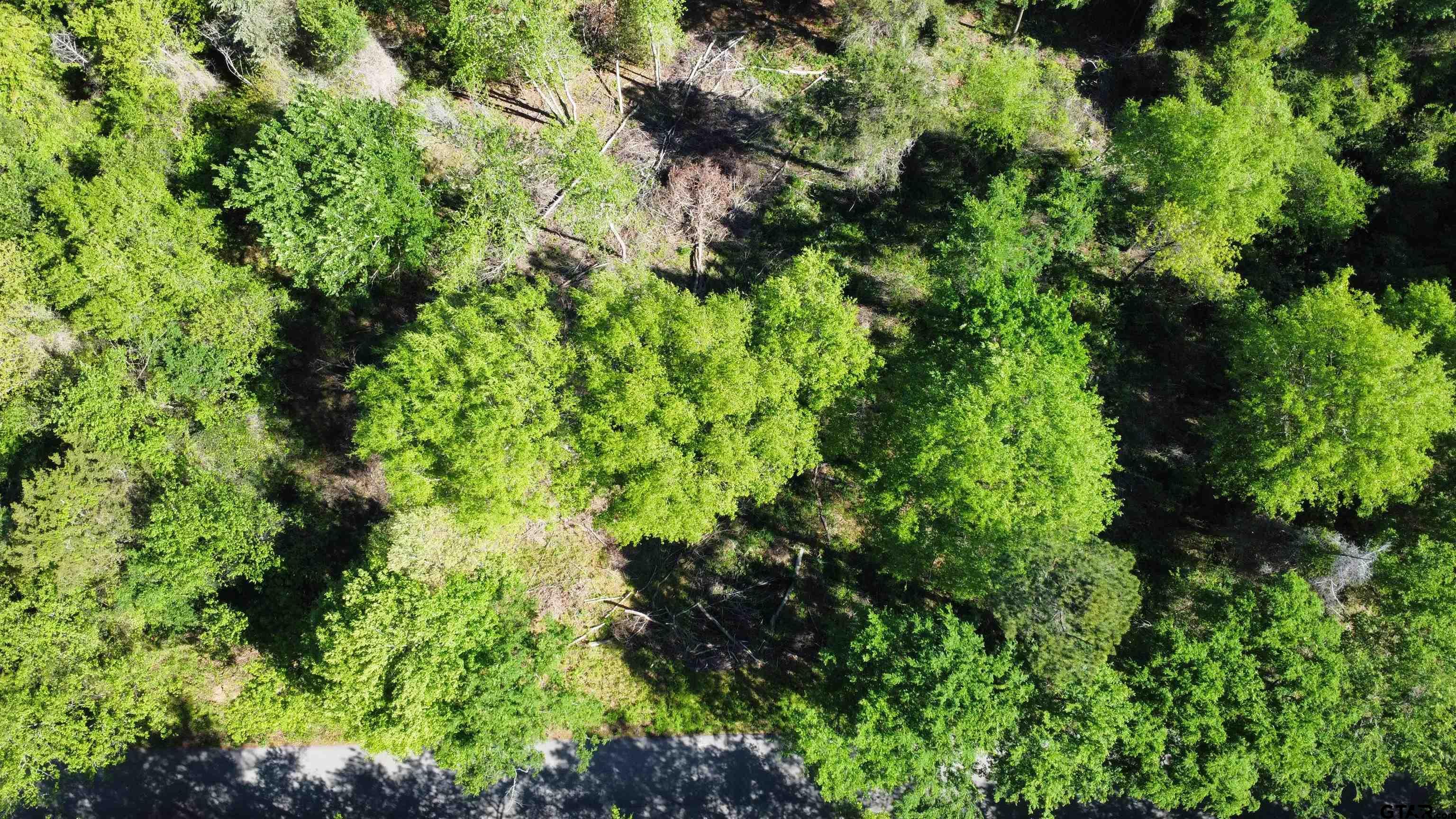 13808 County Road 1250