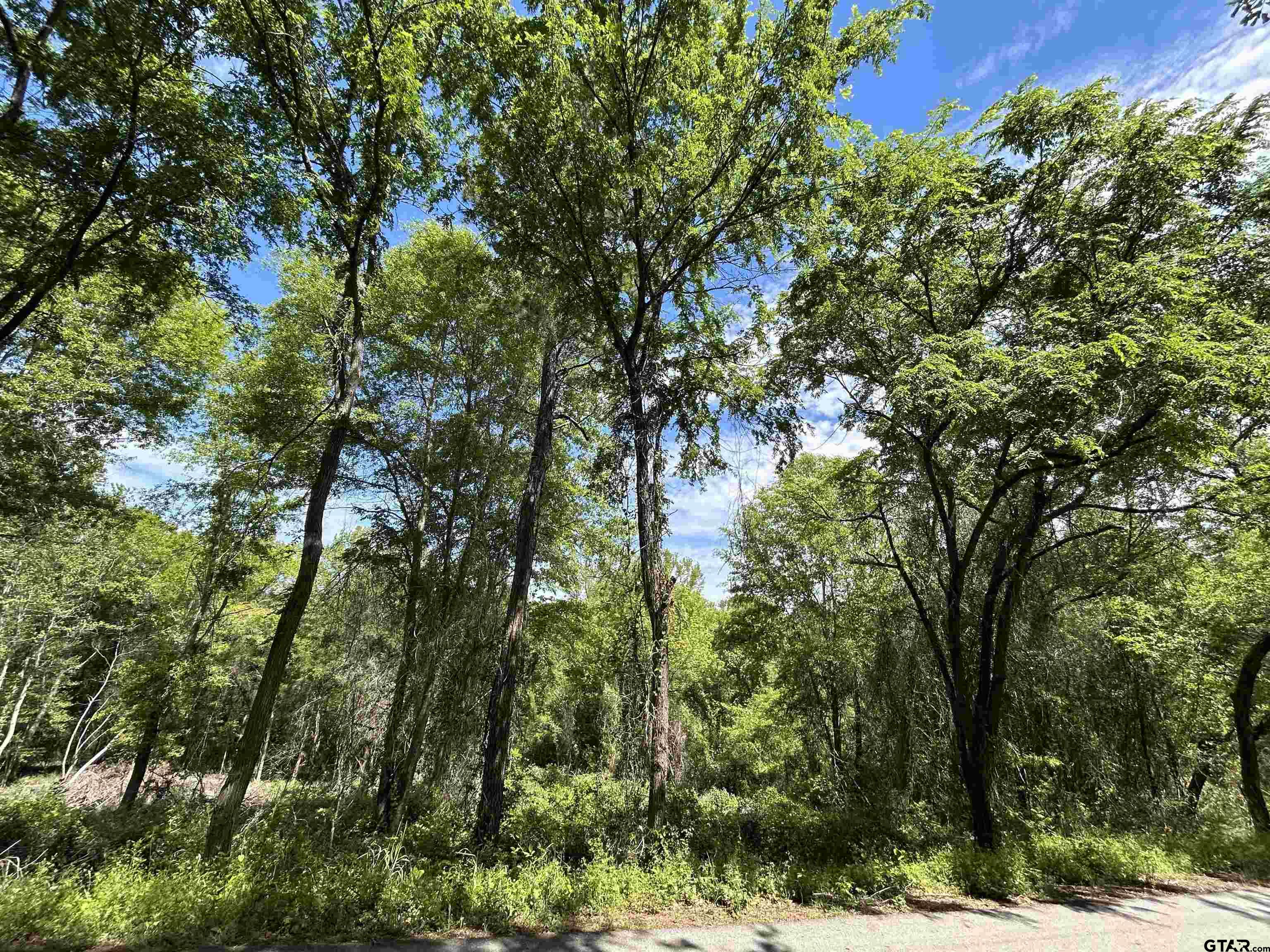 13808 County Road 1250