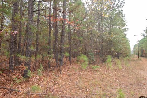 TBD CR 169 D Kilgore TX 75662