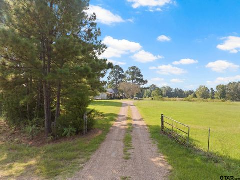 197 Hathcoat Daingerfield TX 75638