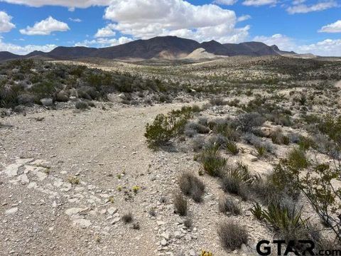 21231 Slate Springs Terlingua TX 79852