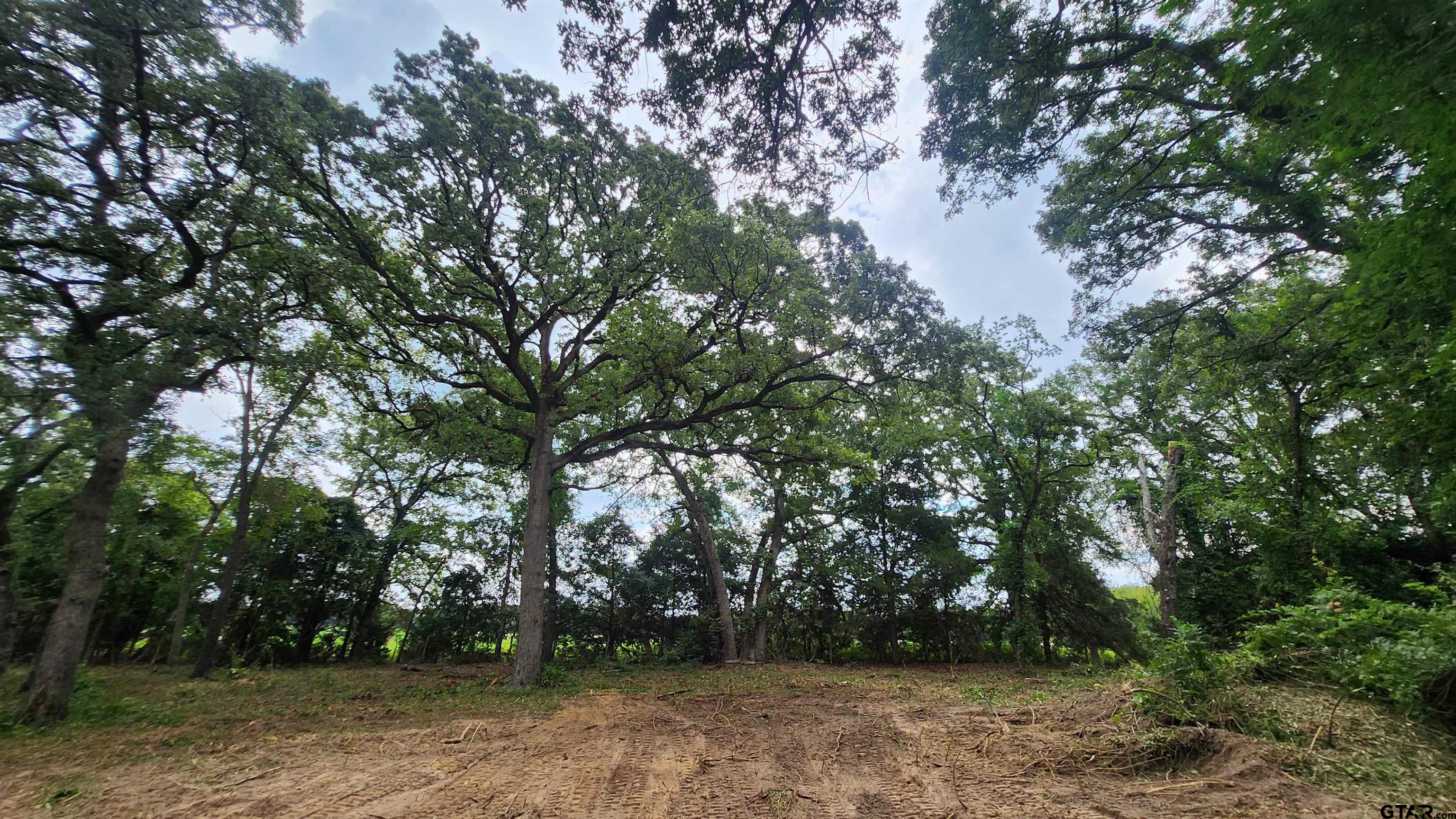 Lots 4,5,6 Holly Glen