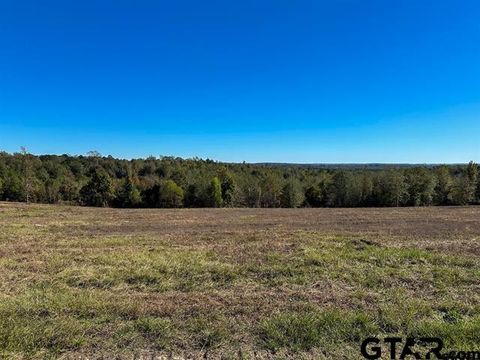 TBD CR 314 Henderson TX 75652