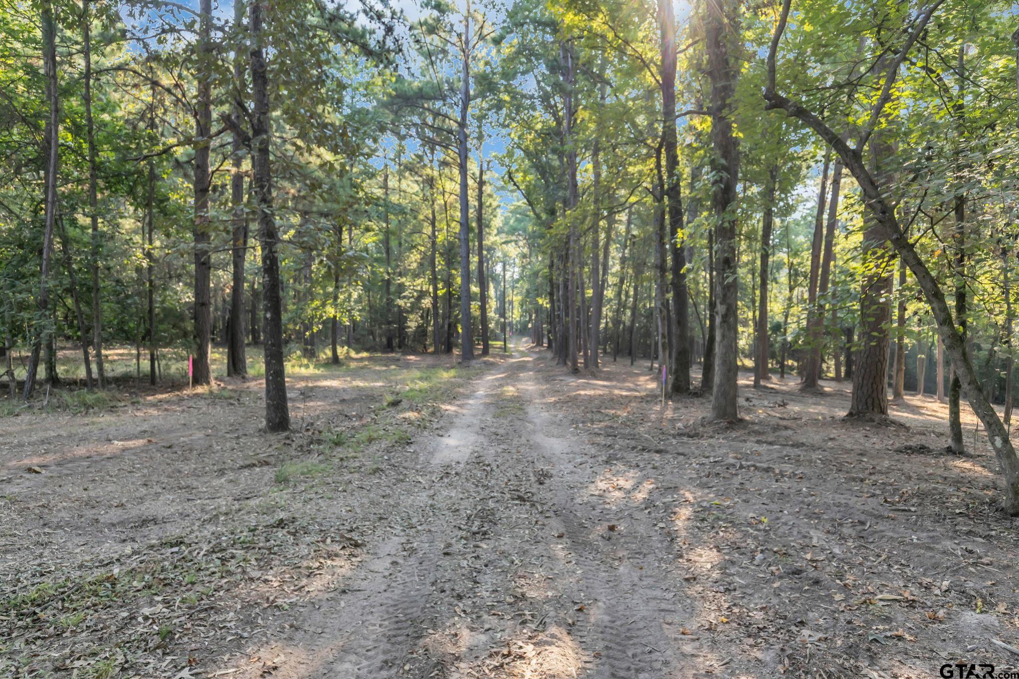 Lot 20-B Eastside Rd