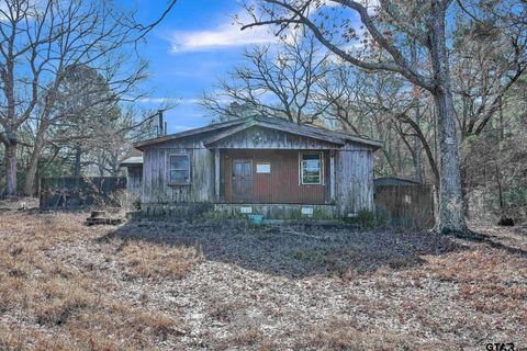 12364 E SH 43 Tatum TX 75691